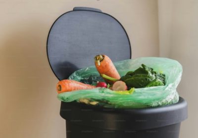 Les enseignes de jardinerie et de bricolage sont-elles de bon conseil ?